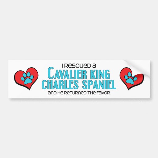 I Rescued a Cavalier King Charles Spaniel (Male) Bumper Sticker Zazzle