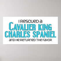 I Rescued a Cavalier King Charles Spaniel (Male) Posters
