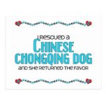 I Rescued a Chinese Chongqing Dog (Female Dog) Postcards