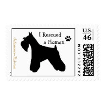 I Rescued a Human Postage Stamp