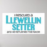 I Rescued a Llewellin Setter (Male Dog) Print