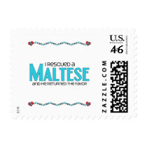 I Rescued a Maltese (Male Dog) Postage Stamps