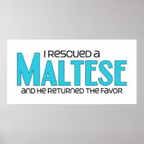 I Rescued a Maltese (Male Dog) Print