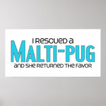 I Rescued a Malti-Pug (Female) Dog Adoption Design Poster