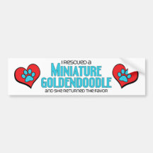 I Rescued a Miniature Goldendoodle (Female Dog) Bumper Stickers