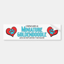 I Rescued a Miniature Goldendoodle (Male Dog) Bumper Sticker