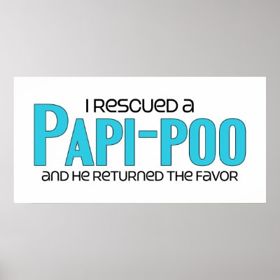papi the dog