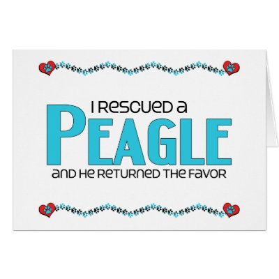 Peagle Dog