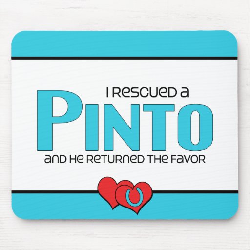 I Rescued a Pinto (Male Horse) Mousepad
