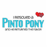 I Rescued a Pinto Pony (Male Pony) Photo Cut Outs