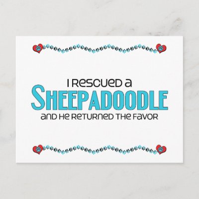 I Rescued a Sheepadoodle Male Dog Adoption Postcards by dogadoodle