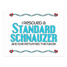 I Rescued a Standard Schnauzer (Female Dog) Postcard