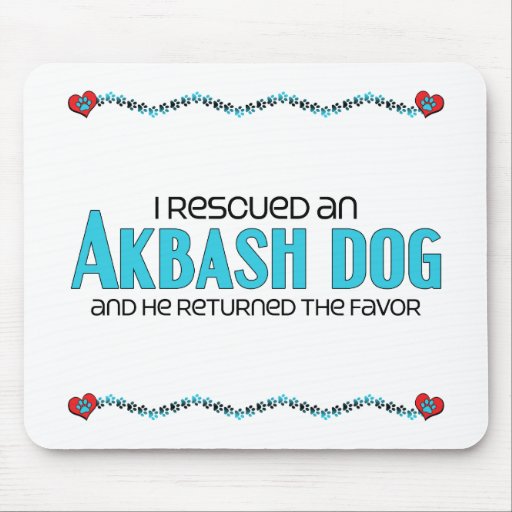 I Rescued an Akbash Dog (Male Dog) Mousepad