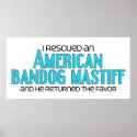 I Rescued an American Bandog Mastiff (Male Dog) posters
