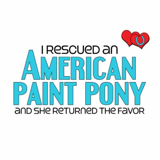 I Rescued an American Paint Pony (Female Pony) Acrylic Cut Out