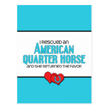 I Rescued an American Quarter Horse (Female Horse) Postcard