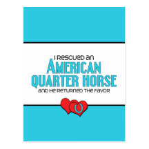 I Rescued an American Quarter Horse (Male Horse) Post Card
