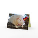 I said I liked strawberry Yogies, not... cards by itsaratsworld I said I liked strawberry Yogies, not... cards
