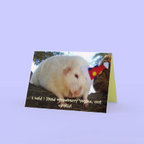 I said I liked strawberry Yogies, not... cards
