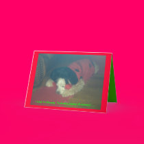 i said it already. "hohoho merry... cards