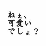 I say, You will think this is cute; kanji Japanese embroidered shirts