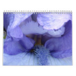 I See An Iris Wall Calendars