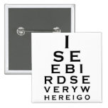 I See Birds Eyechart Pins