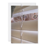 "I See What You Did There" LOLcat Custom Invitations