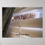 "I See What You Did There" LOLcat posters