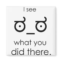 I see what you did there refrigerator magnet