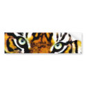 I see you_ Bumper Sticker bumper stickers