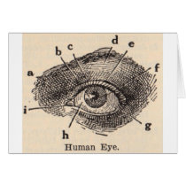 I See You Greeting Cards