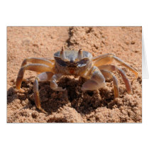 I see you - crab at the beach close up cards by Rainmountain I see you - crab at the beach close up cards