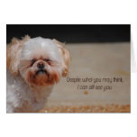 I See You Funny Shih Tzu Dog Card cards