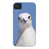 I See You iPhone 4/4s Case casemate cases