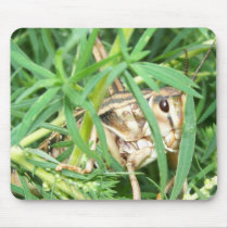 i-see-you mousepads