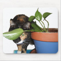 I See You mousepads