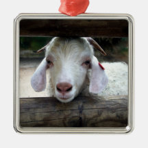 I See You Ornament