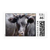 I see you! postage