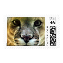 I See You! stamps