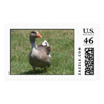 I See You Postage Stamp