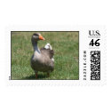 I See You Postage Stamp