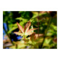 I See You/Poster posters by riverme I See You/Poster posters