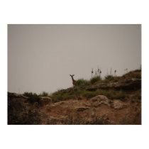 "I See You" posters by wksimages "I See You" posters