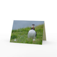 I See You Puffin card