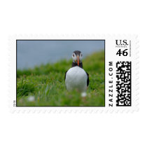 I See You Puffin postage