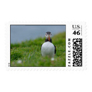 I See You Puffin stamp