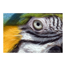 I seeyou print