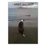 I SHORE miss you!!! Greeting Cards