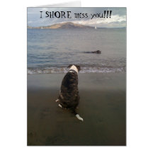 I SHORE miss you!!! Greeting Cards